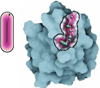 Figure 6: Implicit clipping plane. a) The implicit function evaluates themolecular surface (green)