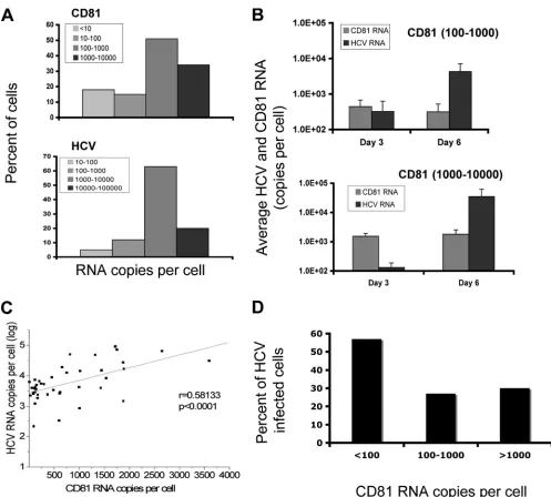 FIG. 3. Single-cell correlation of HCV RNA and CD81 levels. Huh7.5 cells were infected with HCVcc and subjected to a single-cell-basedq-RT-PCR assay