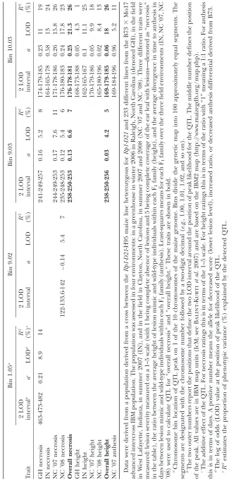 TABLE 4
