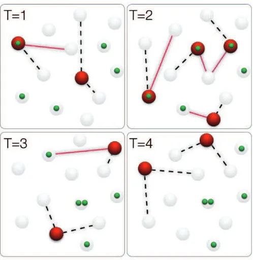 FIG. 1. Activity driven random walk process. Active nodesare shown in red and walkers are presented in green