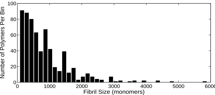 Figure 2: Experimental distribution of the sample xi, 1 ≤ i ≤ n, representing the measured sizes of polymers(the number of polymers below a certain size (145 monomers) is unknown)
