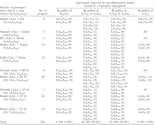 TABLE 6