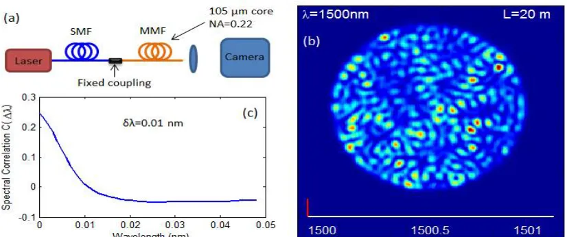 Figure (2):  (a) Designed Setup,(b): Speckle pattern for expected results,   (c):Spectral correlation function averaged over  many spatial positions