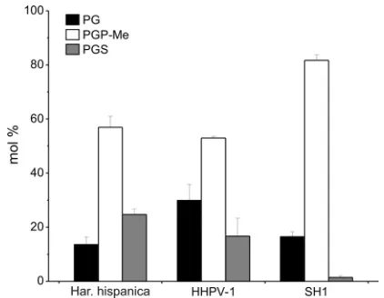 FIG. 3. Comparison of the phospholipid compositions of Har. his-panicaof total phospholipids, and only phospholipids representingthe total are shown
