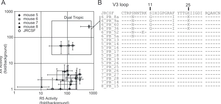 FIG. 6. Phenotypic analysis of coreceptor tropism. (A) Relative CXCR4 and CCR5 activities of envand clone number