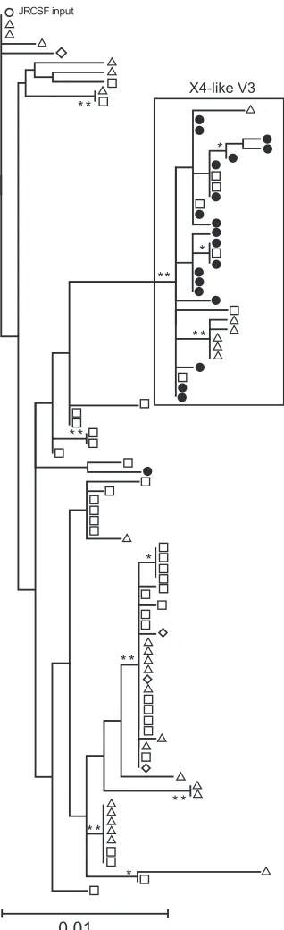 FIG. 7. Maximum likelihood phylogeny of envrecovered from different tissue compartments in mouse 6