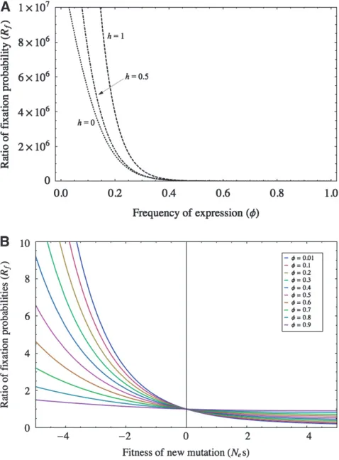 Figure 5.—(A) Numerical integration of Equation 15 is