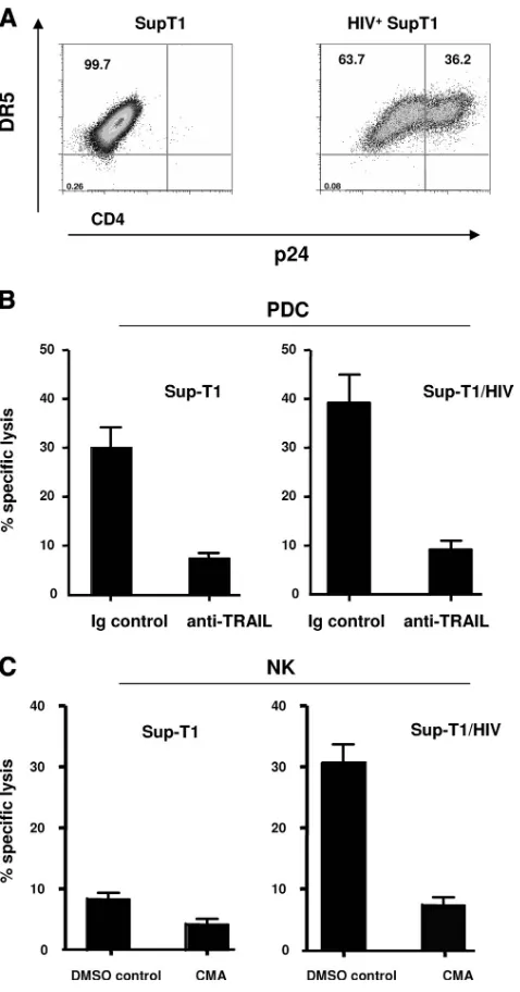 FIG. 7. PDC efﬁciently kill DR5-expressing Sup-T1 cells (infectedor not with HIV) but lack lytic activity against HIV-infected primary