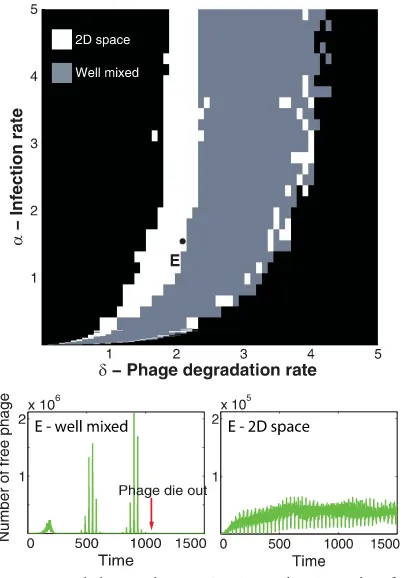 FIG. 2. Space helps coexistence. (Top) Coexistence regions for thespatial and well-mixed models plotted on top of each other