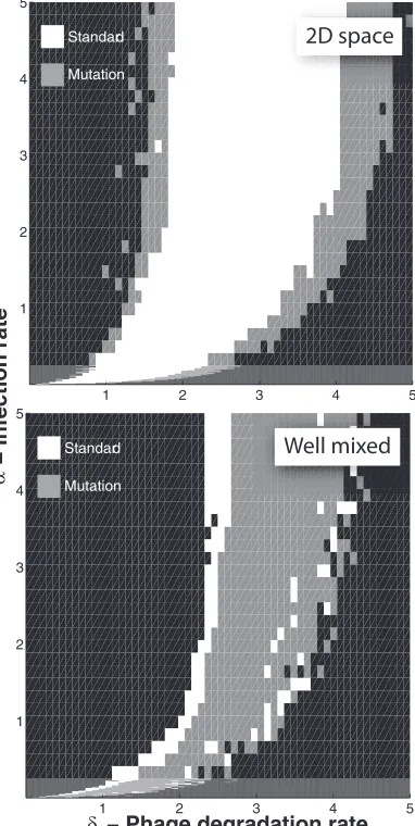 FIG. 4. Effect of an adaptive phage strategy where latent times areallowed to mutate. (Top) The white region corresponds to parameters