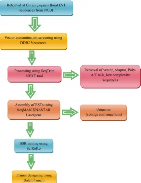 Figure 1. Flowchart showing methodology of in silico mining and develop-ment of EST-SSR primers from papaya floral ESTs