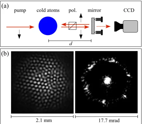 FIG. 1: (Color on line) Observation of patterns. (a) Experi-