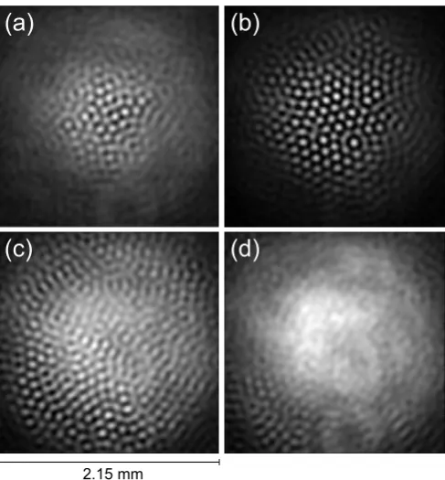 FIG. 2: Saturation of the instability. We show the evolutionof the patterns as the pump intensity is increased : a)I I = 0.24W/cm2, (b) I = 0.47 W/cm2, (c) I = 1.41 W/cm2 and (d) = 4.24 W/cm2