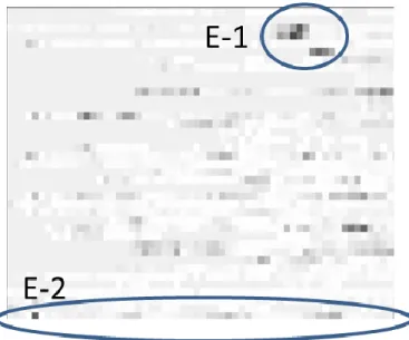 Figure 5. Heatmap of changes in the code (one subsystem)  This  heatmap  shows  that  this  development  was  done  on  a  stable  code  base  since  the  changes  are  grouped  to  a  subset  of  components  at  a  time  –  we  could  see  that  the  dark