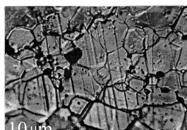 Figure 2: Creation of intergranular cavities in U02, e ..~ 6% (Vivant-Duguay, 1998) 