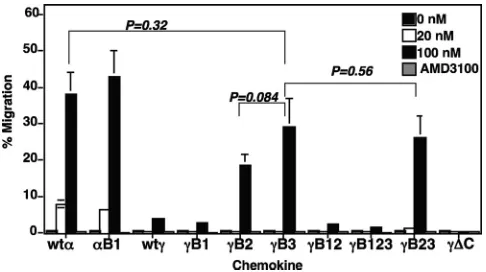 FIG. 2. CXCL12�third BBXB domain had restored chemotactic activity. The chemotac-tic activities of the indicated CXCL12 proteins were examined atincreasing concentrations in a two-chamber chemotaxis assay