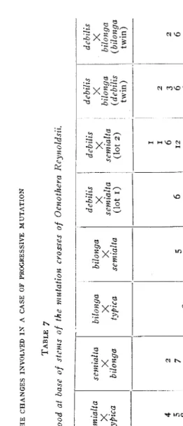 TABLE 7 