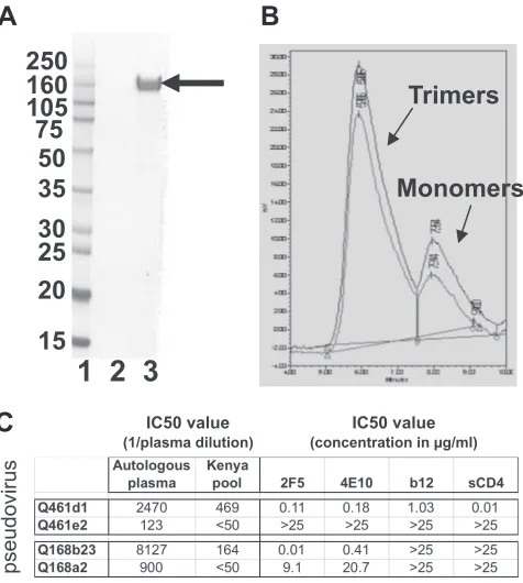 FIG. 1. Analysis of Q461d1S(A) SDS-PAGE analysis of ﬁnal preparation of Q461d1 gp140 used for immunizations.S gp140 from the