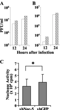 FIG. 6. Effect of nucleolin knockdown on viral growth and nucleaseactivity. (A and B) Vero-shNuc-5 (open bar) and Vero-shGFP (shaded