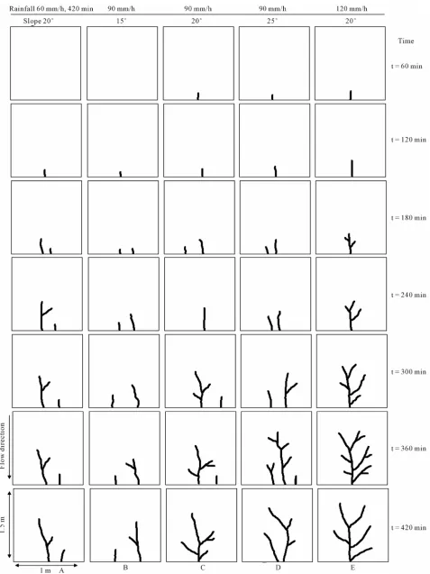 Figure 3. Five series of growth plane patterns of rill network development. 