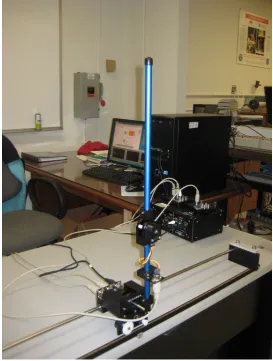 Figure 1.2:The double inverted pendulum mounted on a cart.