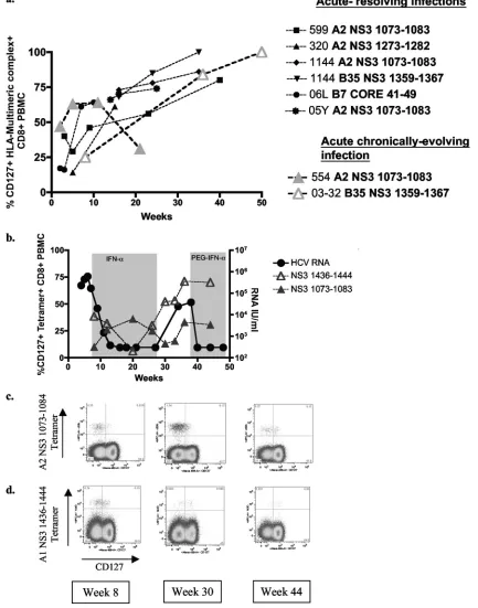 FIG. 2. CD127 expression levels during acute HCV infection. (a) CD127 expression levels on HCV-speciﬁc T cells during the acute phase ofHCV infection (data shown for 5 individuals who resolve and two individuals who remain chronically infected)