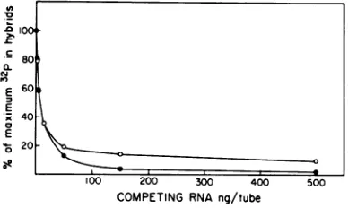 FIG. 8.izedperofunlabeledwascontainedbridizationwithwith"2P-labeled 32P-labeled Hybridization-competition experiments 33S RNA