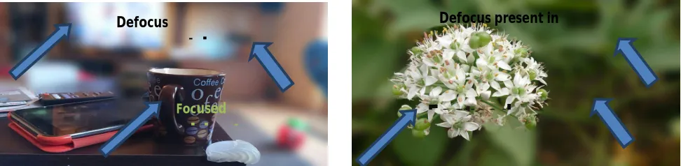 Figure 1:Example showing defocus blur present in background