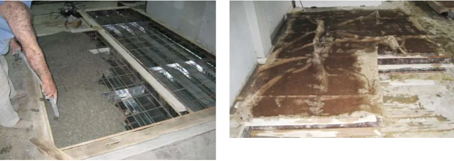 Figure 3. Concreting and curing of the specimens 