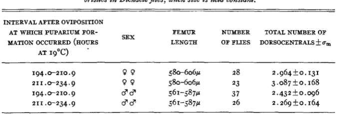 TABLE 5 