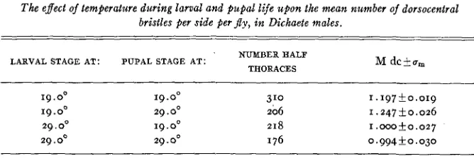 TABLE 6 