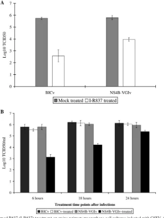 FIG. 7. Effect of imiquimod R837 (I-R837) treatment on swine primary macrophage cell cultures infected with CSFV
