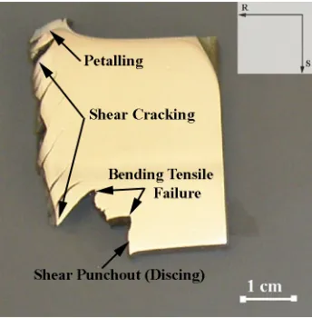 Figure 2.2: Polished cross-section indicating damage modes of penetrated region  