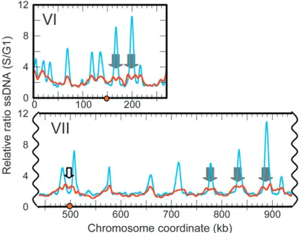 Figure 1.—Genomic ssDNA mapping reveals more exten-