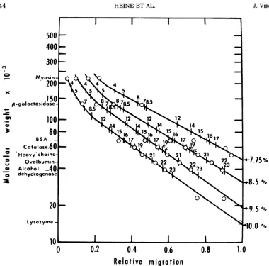 FIG. 2.glycosylatedpolypeptidesproteinpolypeptidesproteinsatdistancemoleculartogetherthe all Molecular weights of HSV-1 [Fl] virion polypeptides determined from their migration relative to standards of known molecular weight (open circles, identified at th