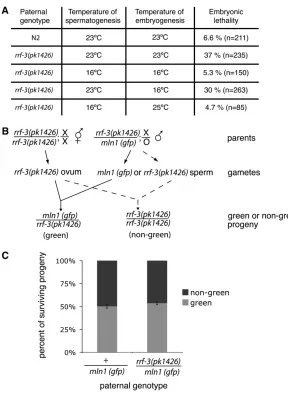Figure 3.—RRF-3 is involved in a temperature-