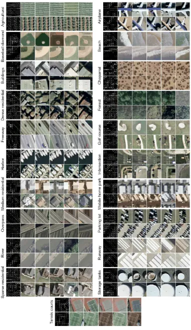 Fig. 3. The visualization of two randomly selected object detectors from each image class and their 