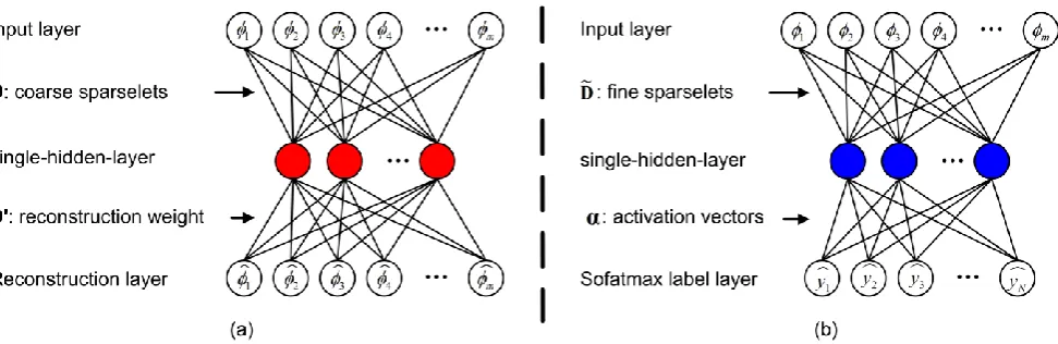 Fig. 5. Framework of our presented coarse-to-fine sparselets training: (a) coarse sparselets training 