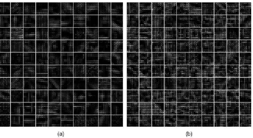 Fig. 6. 100 sparselets learned from 3093 object detectors trained on the 21 LULC classes, using (a) our 