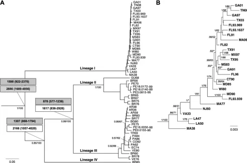 TABLE 2. Nucleotide and amino acid sequence divergence among EEEV and VEEVa