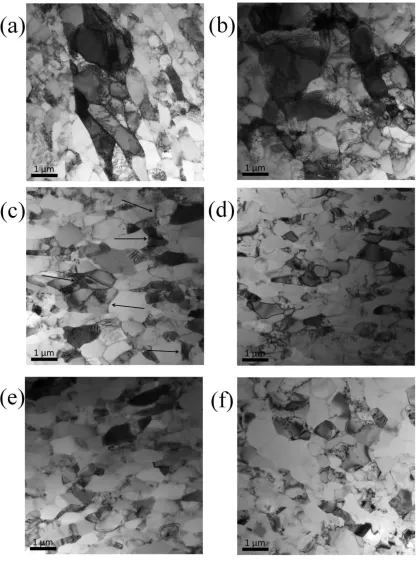 Fig. 5 Selected TEM images presenting characteristic features of deformation structures 