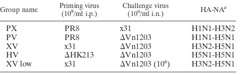 TABLE 1. Infection protocol for WT C57BL/6 mice