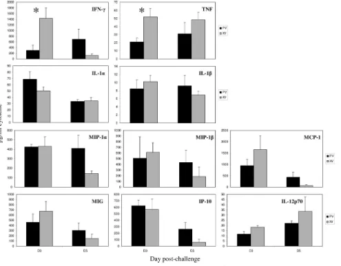 FIG. 8. Survival of TNF�and then challenged withH5N1assessed by recording whether the mice succumbed to the infection.The survival data are a combination of all experiments, with at least 15mice per group initially