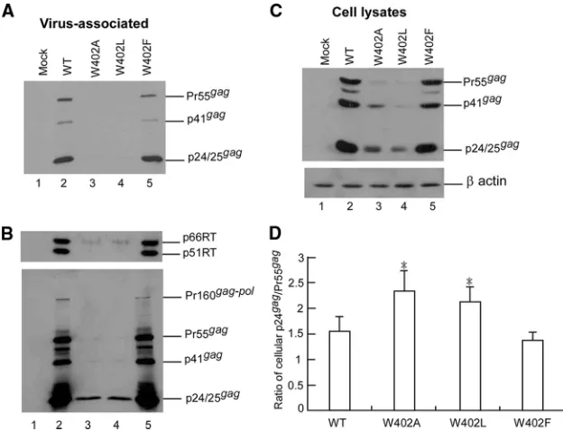FIG. 4. Relative reverse transcriptase activity levels of HIV-1 RTmutants. 293T cells were transfected with the indicated plasmid