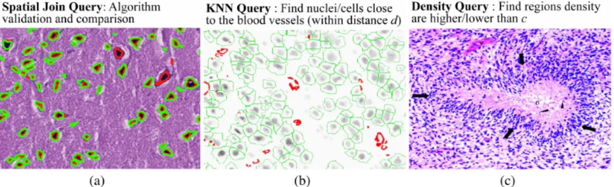 Figure 6: Medical queries. [5]