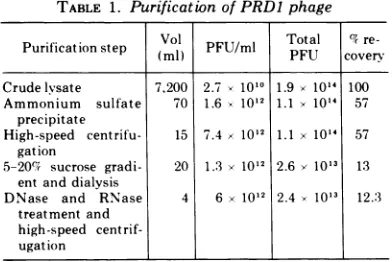 TABLE 1. Purification of PRD1 phage