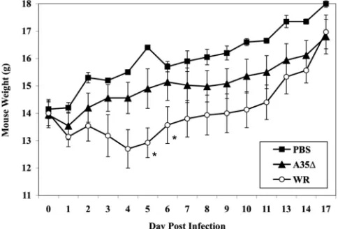 FIG. 1. i.p. infection of mice. Groups (nmock-vaccinated with PBS and weighed (grams plus or minus standarderrors of the means [SEM]) at various time points p.i