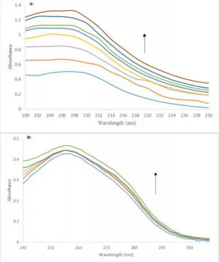 Figure 2. (A) Changes of UV spectra of PPT (1.55×10-7 M) in the presence of different concentrations of ctDNA (3.3-9.8×10-5 M).(B) Absorption spectra of ctDNA (5×10-5 M) in the presence of different concentrations of PPT (3.7-33 µM).