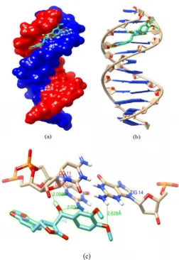 Figure 5. Molecular docking structural representation of PPT–DNA interaction by using Chimera 1.10.1 program