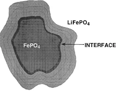 Figure 2.3: Schematic of the interface between FePO4 and LiFePO4 during Li insertion 